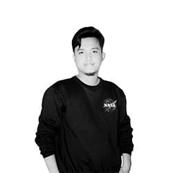 bayu dwi
